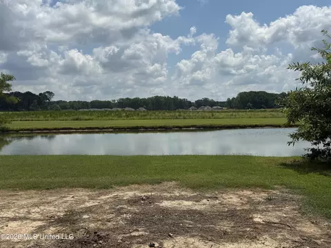 View/Area - 2578 Oak Crossing Dr, Hernando, MS 38632 photo 1 of 2
