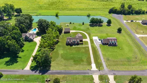 View/Area - 2578 Oak Crossing Dr, Hernando, MS 38632 photo 2 of 3