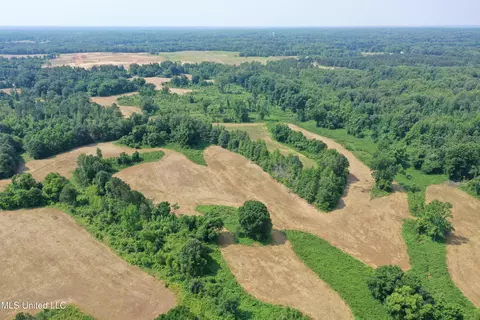 0 Baldwin Rd, Lake Cormorant, MS 38641