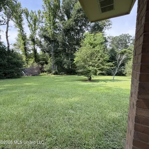 3847 Old Jackson Rd, Forest, MS 39074 photo 3
