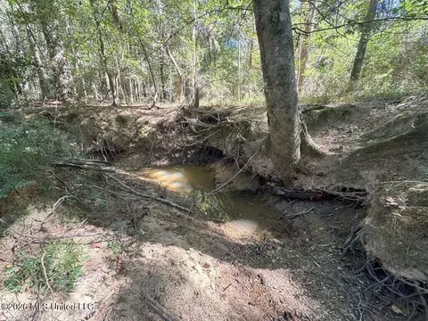 Delaware Avenue, Mccomb, MS 39648 photo 8