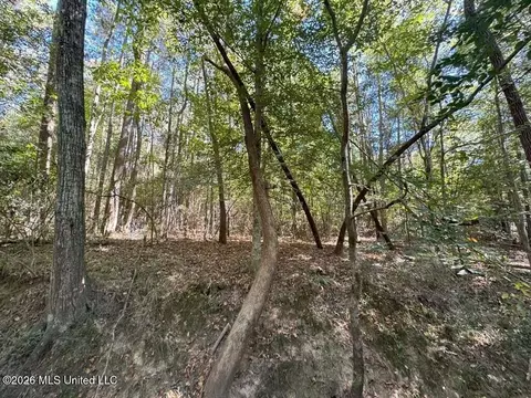 Delaware Avenue, Mccomb, MS 39648 photo 7