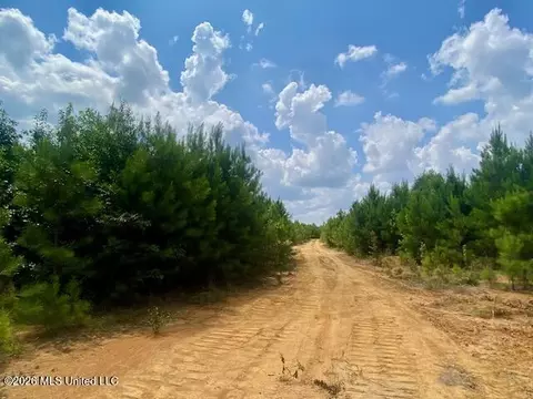 County Line Road, Summit, MS 39666 photo 4