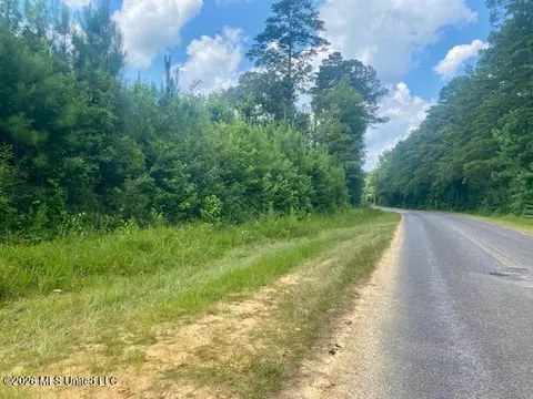 County Line Road, Summit, MS 39666 photo 11