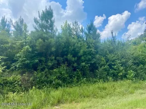 County Line Road, Summit, MS 39666 photo 12