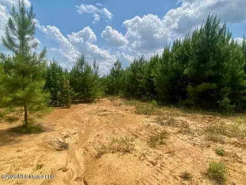 County Line Road, Summit, MS 39666 photo 6