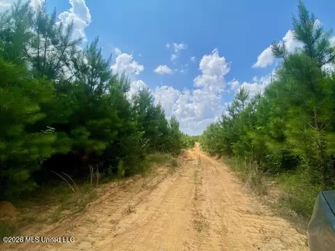 County Line Road, Summit, MS 39666 photo 7