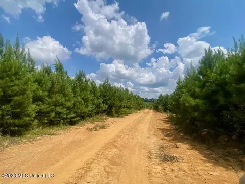 County Line Road, Summit, MS 39666 photo 10