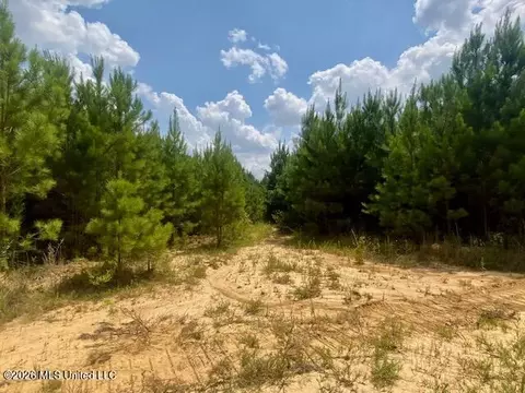 County Line Road, Summit, MS 39666 photo 5