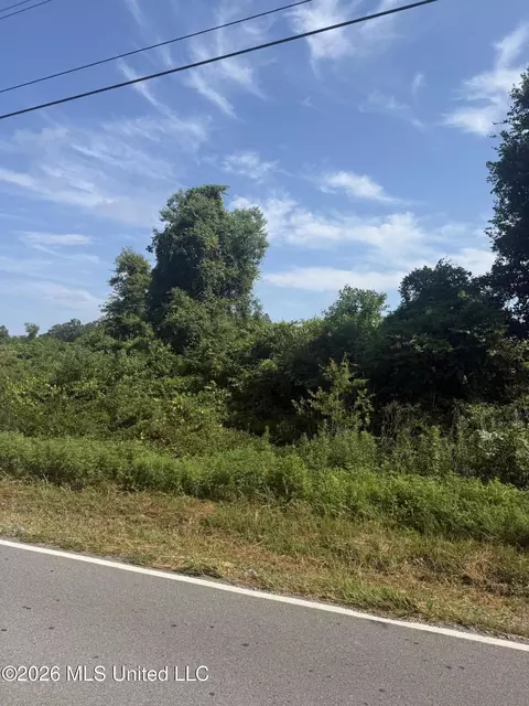 Davis Sawmill Road, Lucedale, MS 39452 photo 3