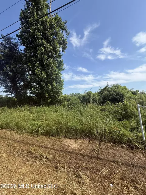 Davis Sawmill Road, Lucedale, MS 39452 photo 9