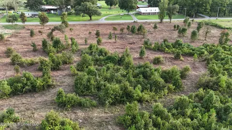 Davis Sawmill Road, Lucedale, MS 39452 photo 11