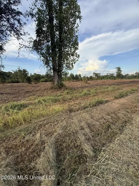 Davis Sawmill Road, Lucedale, MS 39452 photo 12