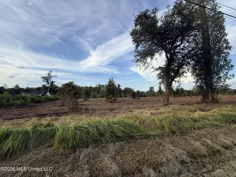 Davis Sawmill Road, Lucedale, MS 39452 photo 4