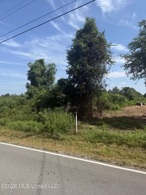 Davis Sawmill Road, Lucedale, MS 39452 photo 2
