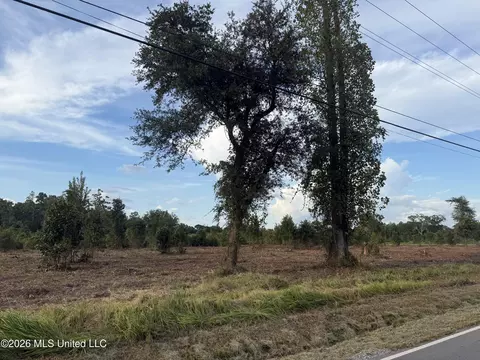 Davis Sawmill Road, Lucedale, MS 39452 photo 3