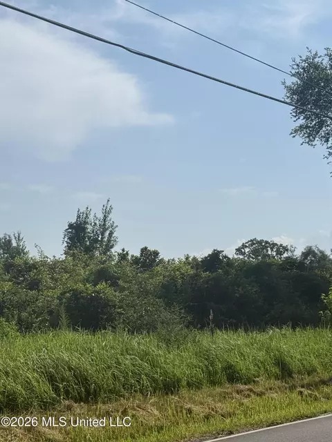 Davis Sawmill Road, Lucedale, MS 39452 photo 7