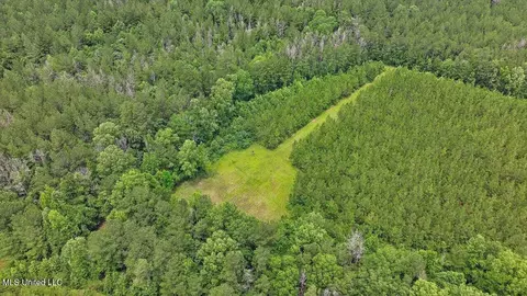 772 Mount Helm Rd, Brandon, MS 39047 photo 3