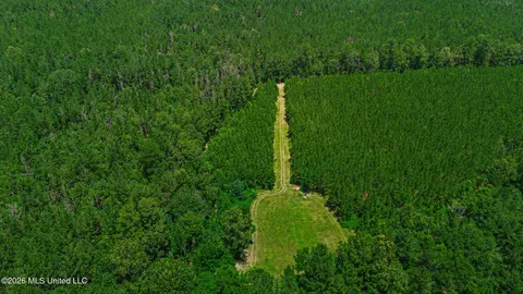 772 Mount Helm Rd, Brandon, MS 39047 photo 25