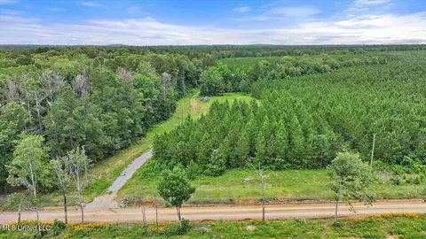 772 Mount Helm Rd, Brandon, MS 39047 photo 18