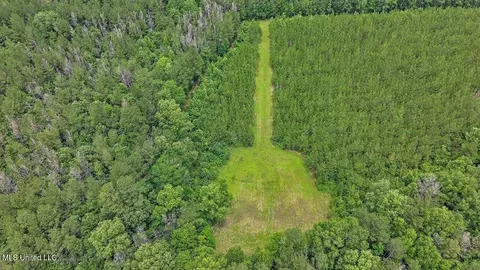 772 Mount Helm Rd, Brandon, MS 39047 photo 2