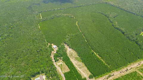 772 Mount Helm Rd, Brandon, MS 39047 photo 30