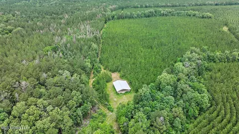 772 Mount Helm Rd, Brandon, MS 39047 photo 13