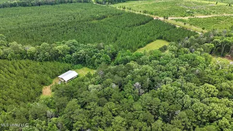 772 Mount Helm Rd, Brandon, MS 39047 photo 8