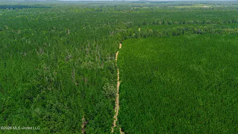 772 Mount Helm Rd, Brandon, MS 39047 photo 27