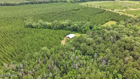 772 Mount Helm Rd, Brandon, MS 39047 photo 7