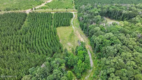 772 Mount Helm Rd, Brandon, MS 39047 photo 12