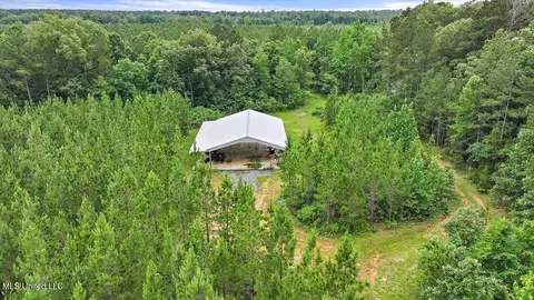 772 Mount Helm Rd, Brandon, MS 39047 photo 10