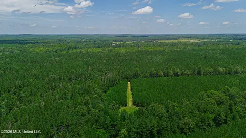 772 Mount Helm Rd, Brandon, MS 39047 photo 26