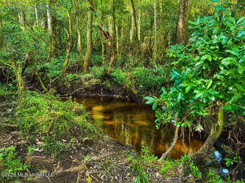 253 Dean Nursery Rd # A, Lucedale, MS 39452 photo 13