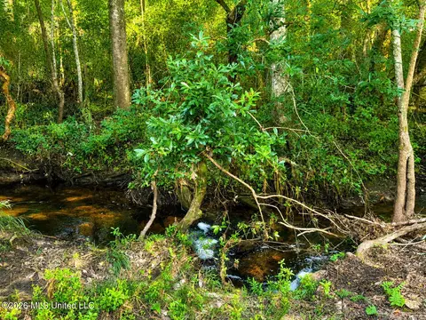 253 Dean Nursery Rd # A, Lucedale, MS 39452 photo 14