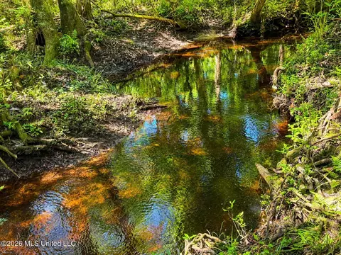 253 Dean Nursery Rd # A, Lucedale, MS 39452 photo 9