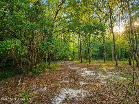 253 Dean Nursery Rd # A, Lucedale, MS 39452 photo 16