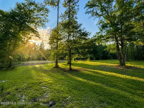 253 Dean Nursery Rd # A, Lucedale, MS 39452 photo 20