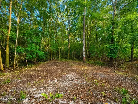 253 Dean Nursery Rd # A, Lucedale, MS 39452 photo 15