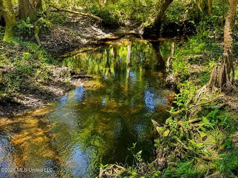 253 Dean Nursery Rd # A, Lucedale, MS 39452 photo 8