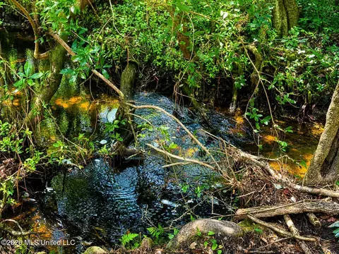 253 Dean Nursery Rd # A, Lucedale, MS 39452 photo 10