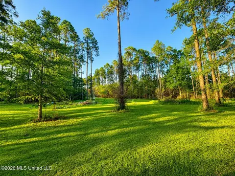 253 Dean Nursery Rd # A, Lucedale, MS 39452 photo 3