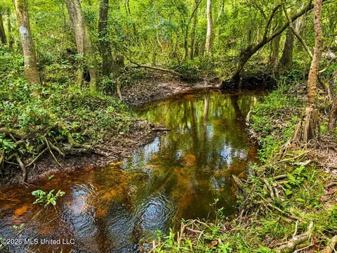 253 Dean Nursery Rd # A, Lucedale, MS 39452 photo 2