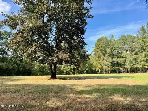 358 Robinson Springs Rd, Flora, MS 39071 photo 25