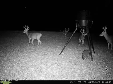 358 Robinson Springs Rd, Flora, MS 39071 photo 18