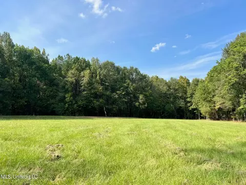 358 Robinson Springs Rd, Flora, MS 39071 photo 6