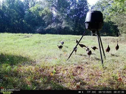 358 Robinson Springs Rd, Flora, MS 39071 photo 21