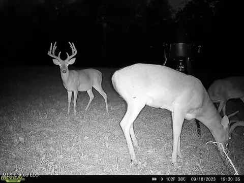 358 Robinson Springs Rd, Flora, MS 39071 photo 34