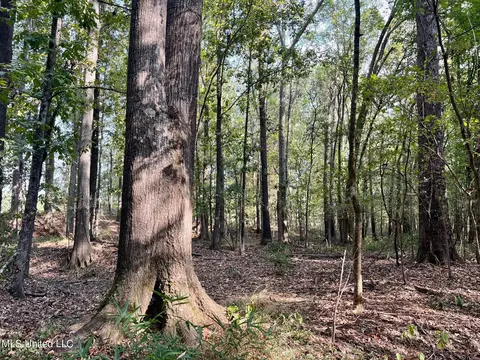 358 Robinson Springs Rd, Flora, MS 39071 photo 33
