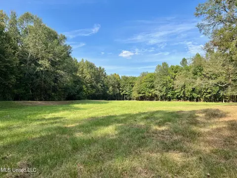 358 Robinson Springs Rd, Flora, MS 39071 photo 4